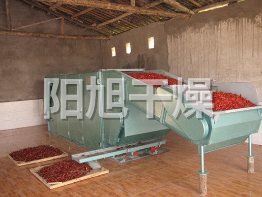 DWC系列脫水蔬菜帶式干燥機